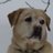 Carlez1011's profile image