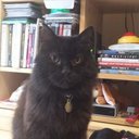 Debbie Burrows - @debbiedo77 - Twitter