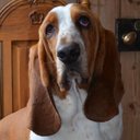 Ralph Goddard - @RalphGoddard - Twitter