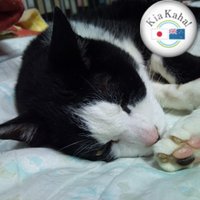 Kasanobu Taro (@warudora1978) 's Twitter Profile Photo