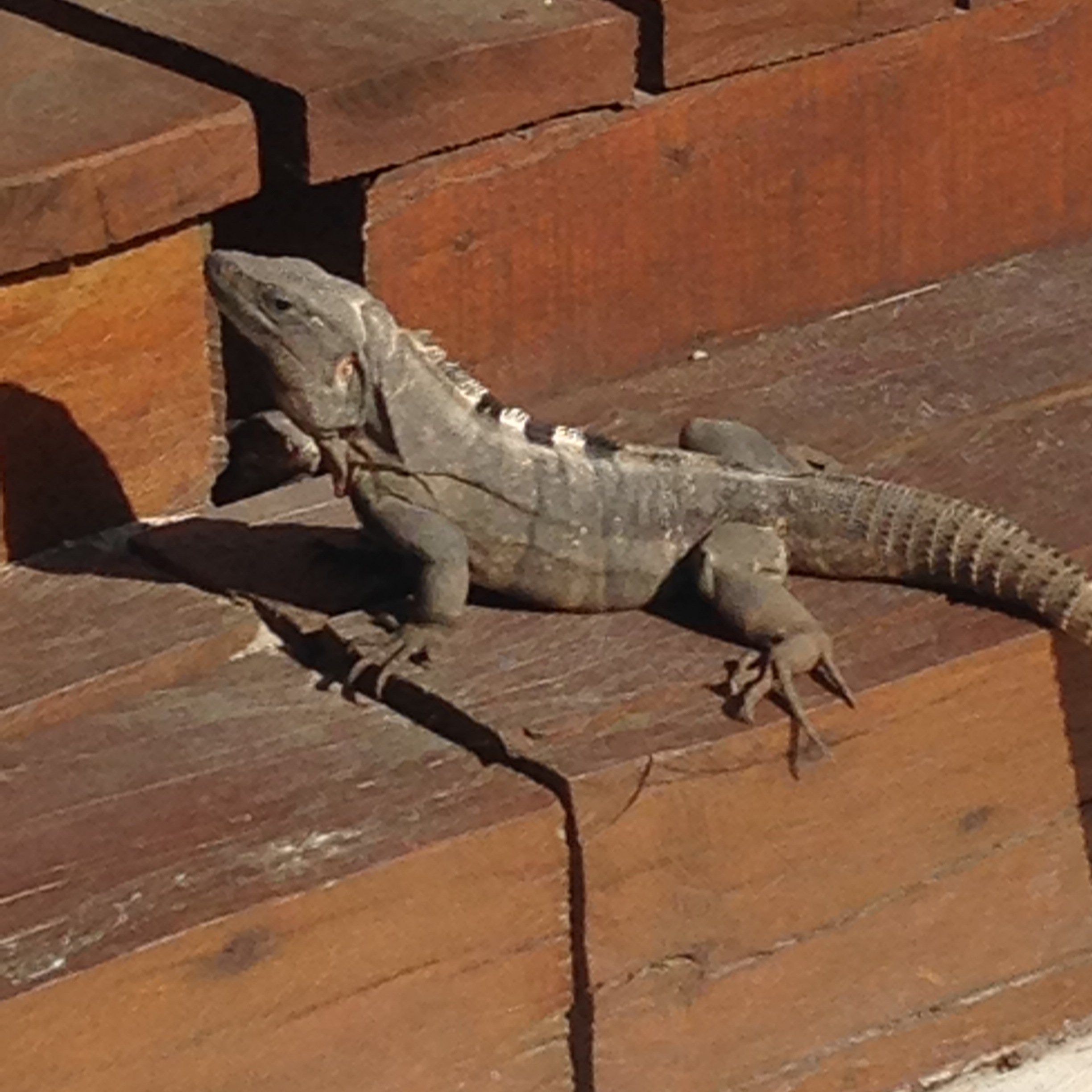 SLove25098601's profile picture. 