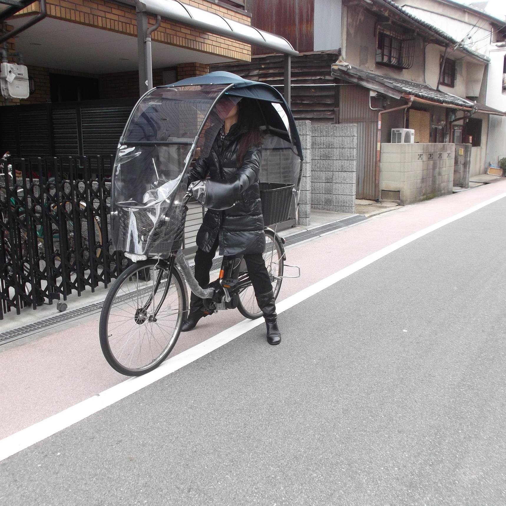 スーパー自転車で、地球環境保護のために只今奮戦中！　　　　　　　　　　　　Super bike, and right now bravely in order to protect the global environment!