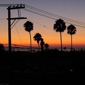 stayblazin300's profile picture. 