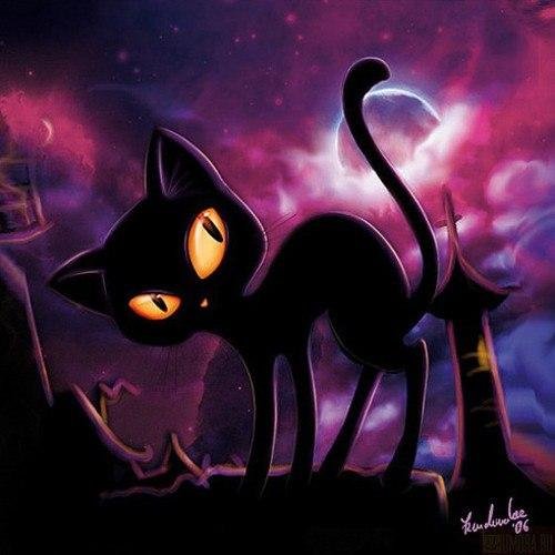 кiт-провокатор