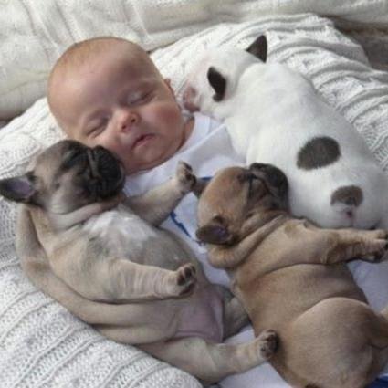cute babies and dogsimage