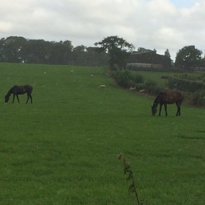 progressbetting's profile picture. 