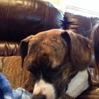 MccabeEvelyn's profile picture. 