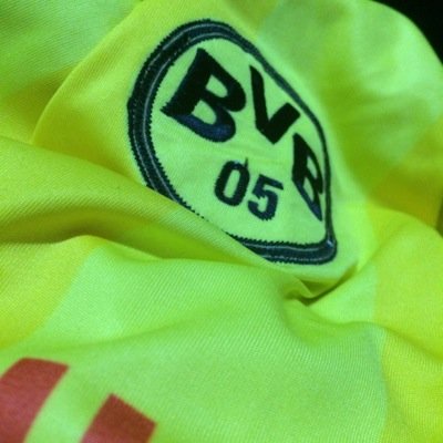 Cuenta Oficial del Borussia 05. ISF. @Exa_Sagrada