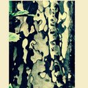 Marcy Beck - @MarcyBeck - Twitter