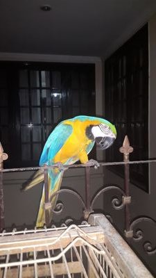 crazy_novelli's profile picture. Bands Bands and youtubers ☺❤✌