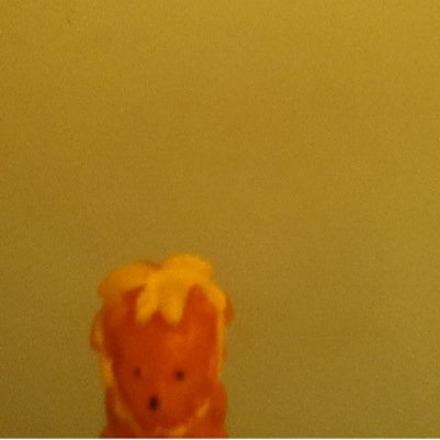 Hi! I'm Milo. I Am A Wacky,Cute, And Cool Lion. I Am A Sea Lion! I Love To Travel!