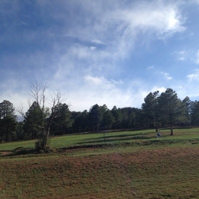 bryancockrell's profile picture. Happily married, father of two. IT professional. Dedicated volunteer. Sports and music lover.