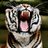 Chadtaylor96's profile image