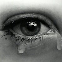 ضحيه شاب (@wafa6006wafa) 's Twitter Profile