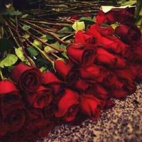 طنااخ (@shmali591) Twitter profile photo