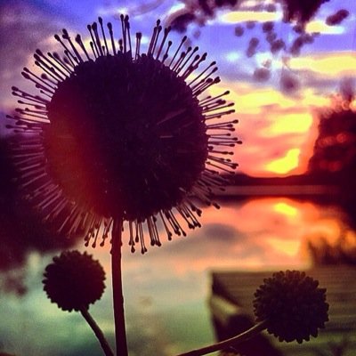 Sourpatchkid348's profile picture. Artist and musicial producer. Electro soul, heartbreak beat, future funk. MOZAIC on soundcloud and s0urpatchk1d on instagram. Much love homies