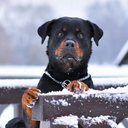 Migdalia Collazo - @migdaliacollaz1 - Twitter