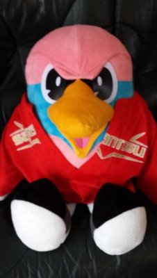 サガン鳥栖サポです！