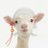 MemeSheepさんのプロフィール画像