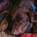 Ann Ayers - @ayrsnn - Twitter