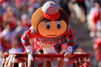 seibs28's profile picture. Big OSU football fan! #GoBucks