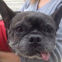 Renee Egan - @reneeegan - Twitter