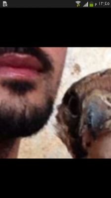 yy2200's profile picture. بلسَانك تدخُل قلوبّ البشر وبقلبَك تدخل الجنهہَ ؛