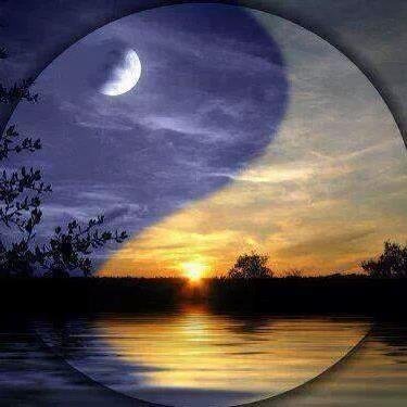 blondbombchelle's profile picture. im a shy loving person who loves to meet new people.  im a bookworm, love playing games and watching shows and movies.