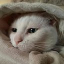 Sandy Tupper - @sandykt3 - Twitter