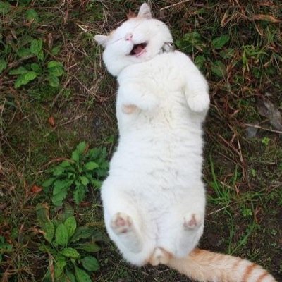 !!!!!1!!1! free follow @apparcnt !!!1!1!1