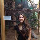 Mary Cappotelli - @MaryCapp - Twitter