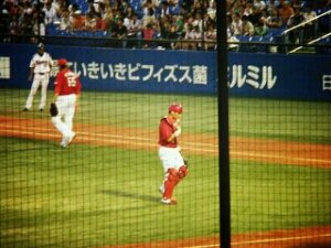 プロ野球好き。関東のカープファン　會澤選手推し　永遠の推し→#6 無言フォローすみません(_ _)