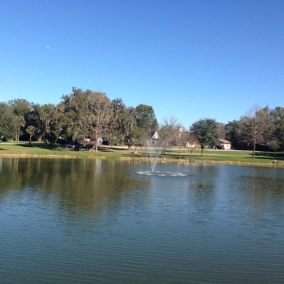 IvetteColon1's profile picture. 