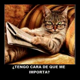 RuthlessCritic's profile picture. Providing reasonable critique in order to make it a better place! Positive criticism builds character!