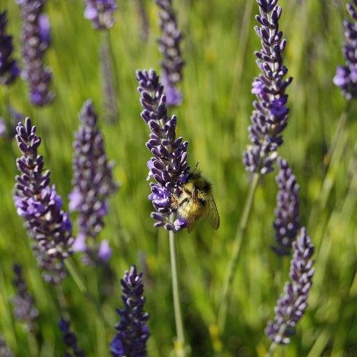 marilynmckay's profile picture. 