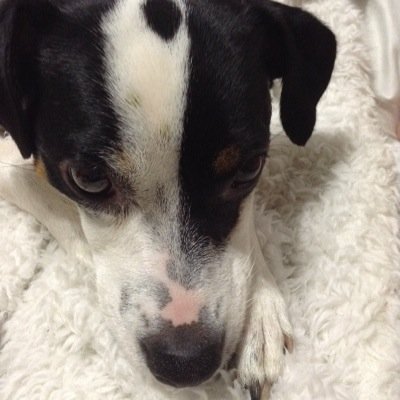 sochie6's profile picture. 