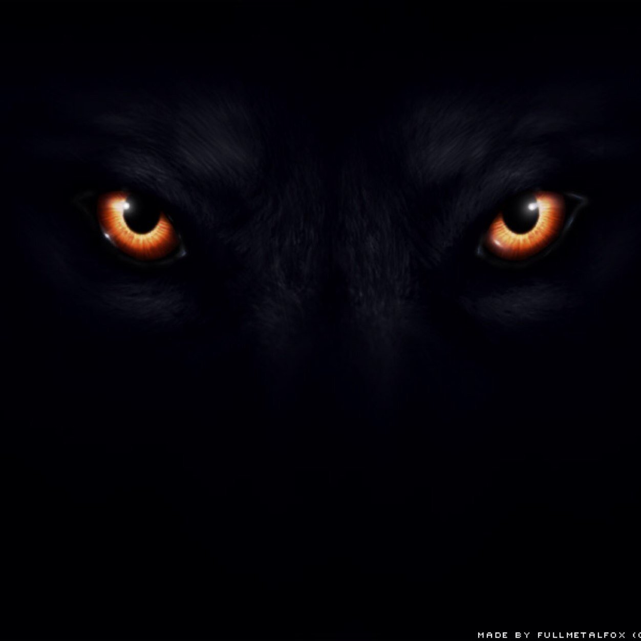 wolves twitter wolves twitter