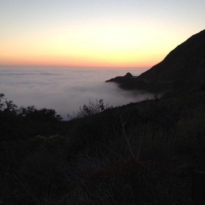 mrs_sparano's profile picture. 