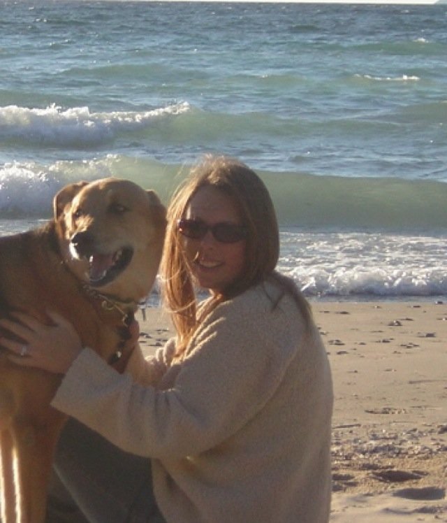 LisaCurtin7's profile picture. Wife, Mommy, Teacher. Passionate about early literacy, early intervention, technology, and common sense initiatives. 1st grade teacher at VACDES in Winchester.