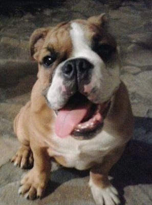 fbinsfran's profile picture. Eeeeeeerghhh