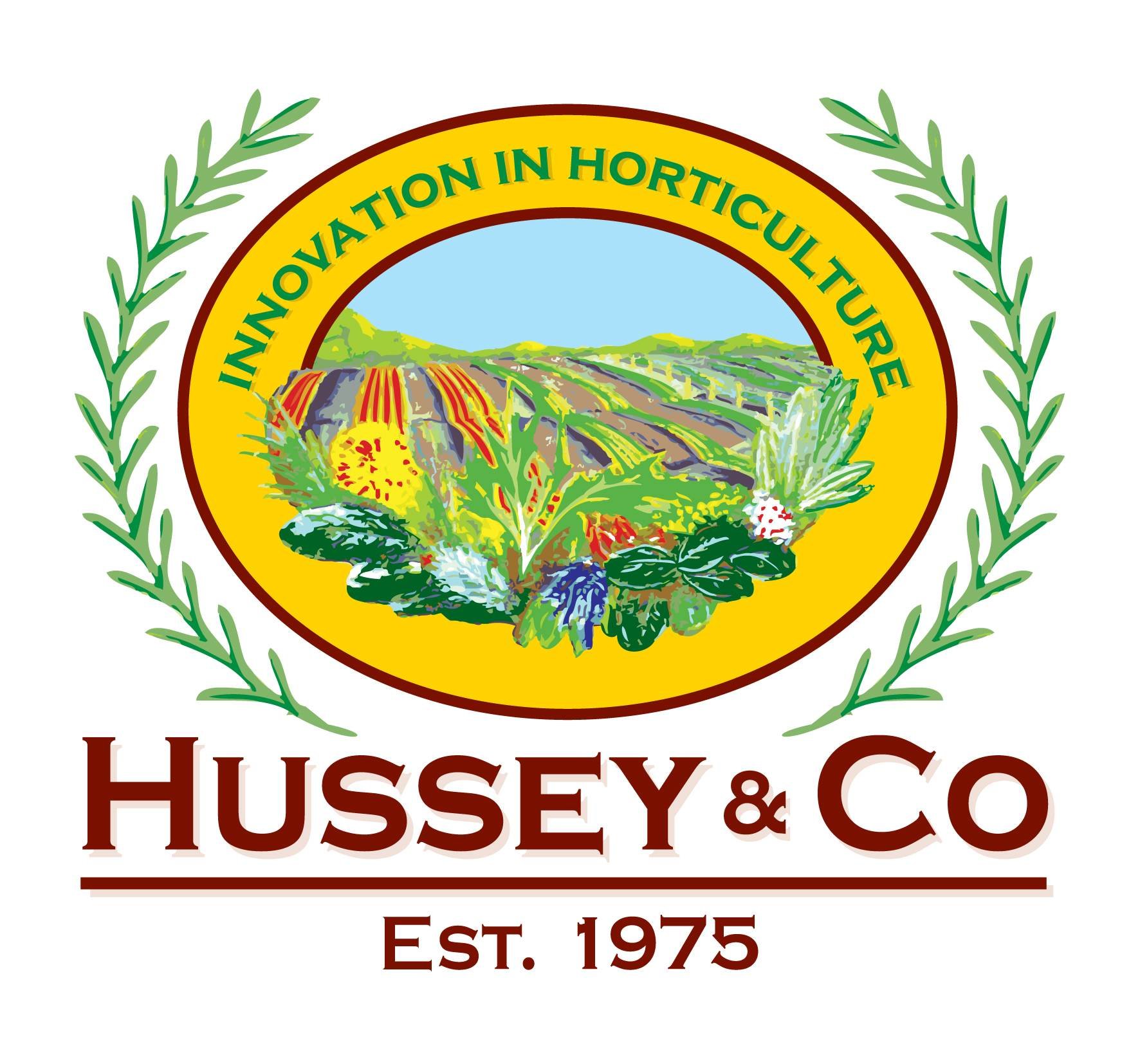 Hussey & Co is dedicated to producing Australia’s finest gourmet salad mixes.