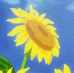 受験生くろさんのプロフィール画像