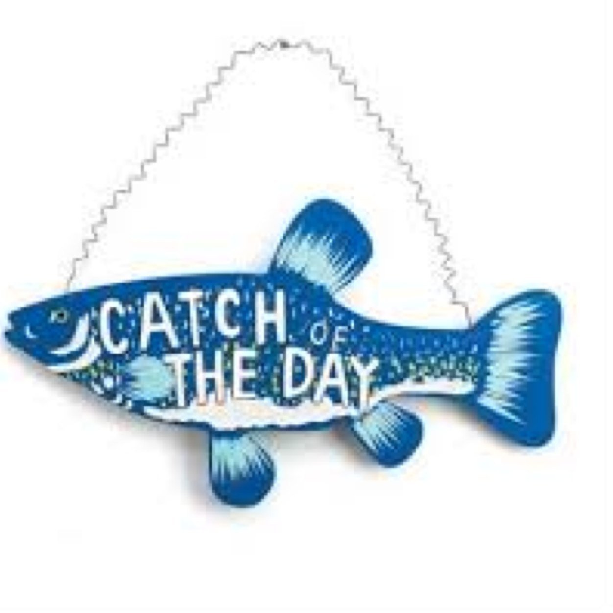 Dailybigfish's profile picture. DM us a picture of your big catch for a chance to be featured as the Catch of the Day!