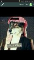 ‏‏‏‏‏كل عام وانتم بخير