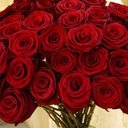 ysoo (@01965e33b936421) Twitter