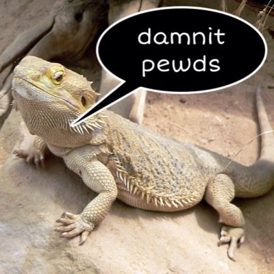 ItsLizzyLizard's profile picture. im lizzy. Short for lizard, not elizabith. Follow @pewdiepie because he is at times okay and acceptable