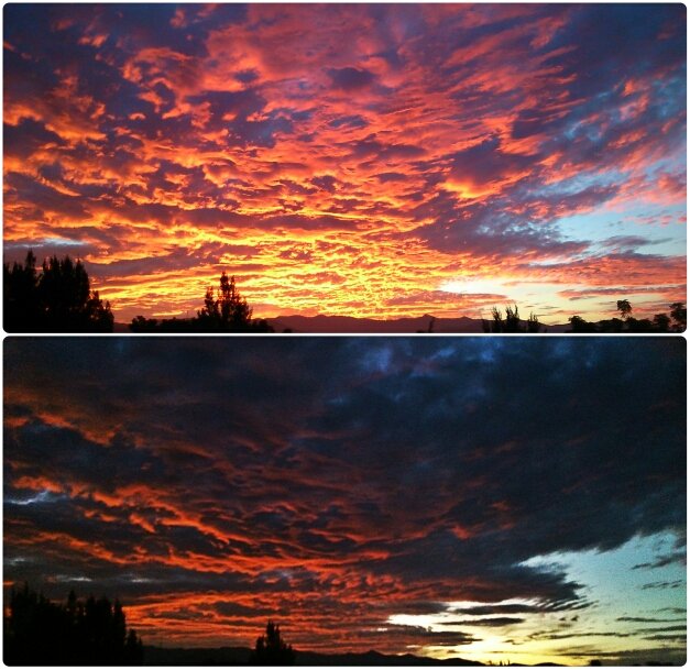 lustrox's profile picture. 