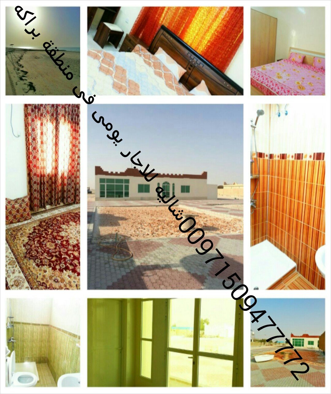شاليهات للاجار اليومى على البحر 00971509477772