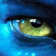 CytusBull's profile picture. Male for fun... Strictly straight... NO CHILD PORN.. NO INCEST (EW!!!)