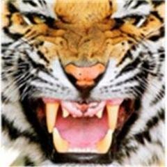 I'M COMING FOR YOU!!!!!!!!!!!!!!!!!!!!!!!!!!!!!!!!!